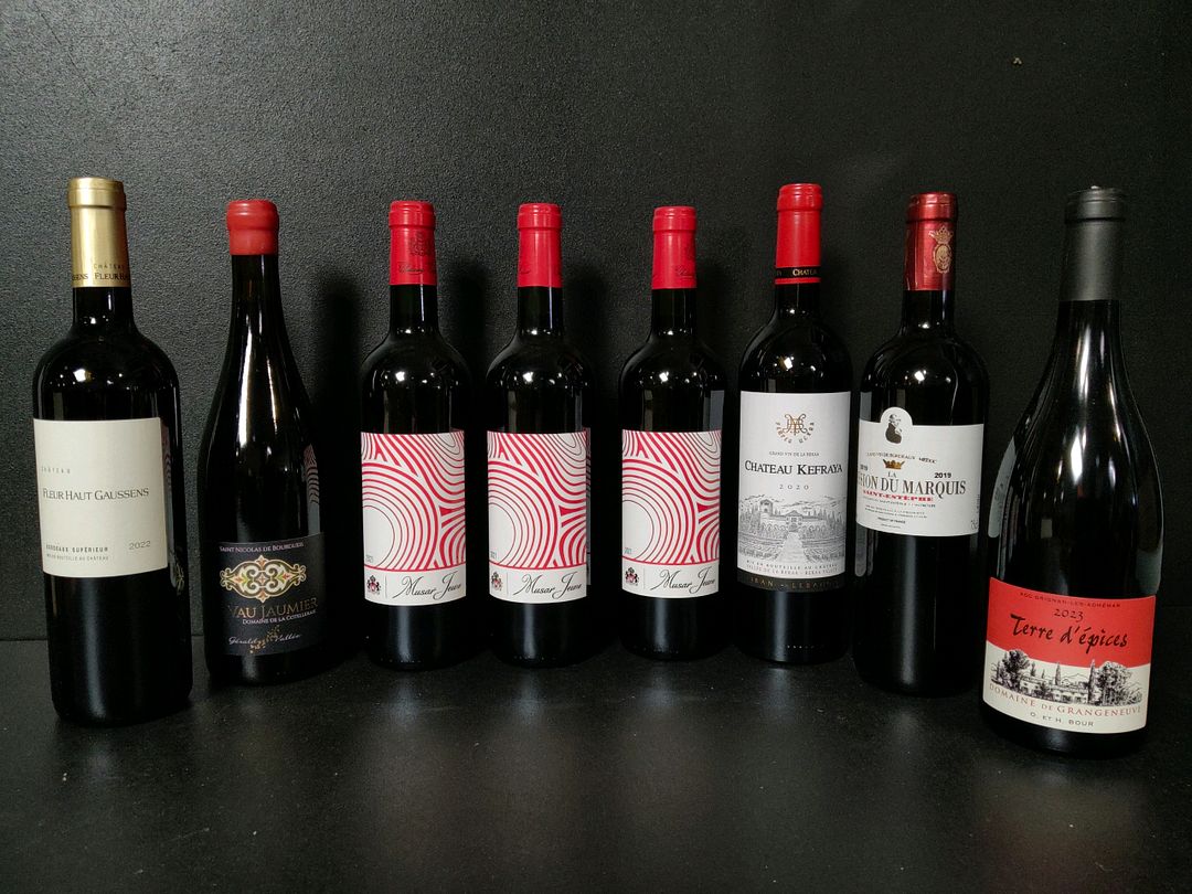 Lot de 8 bouteilles de vin rouge dont : Musar Jeune 2021, La Mission du Marquis 2019, Château Fleur Haut Gaussens 2022…