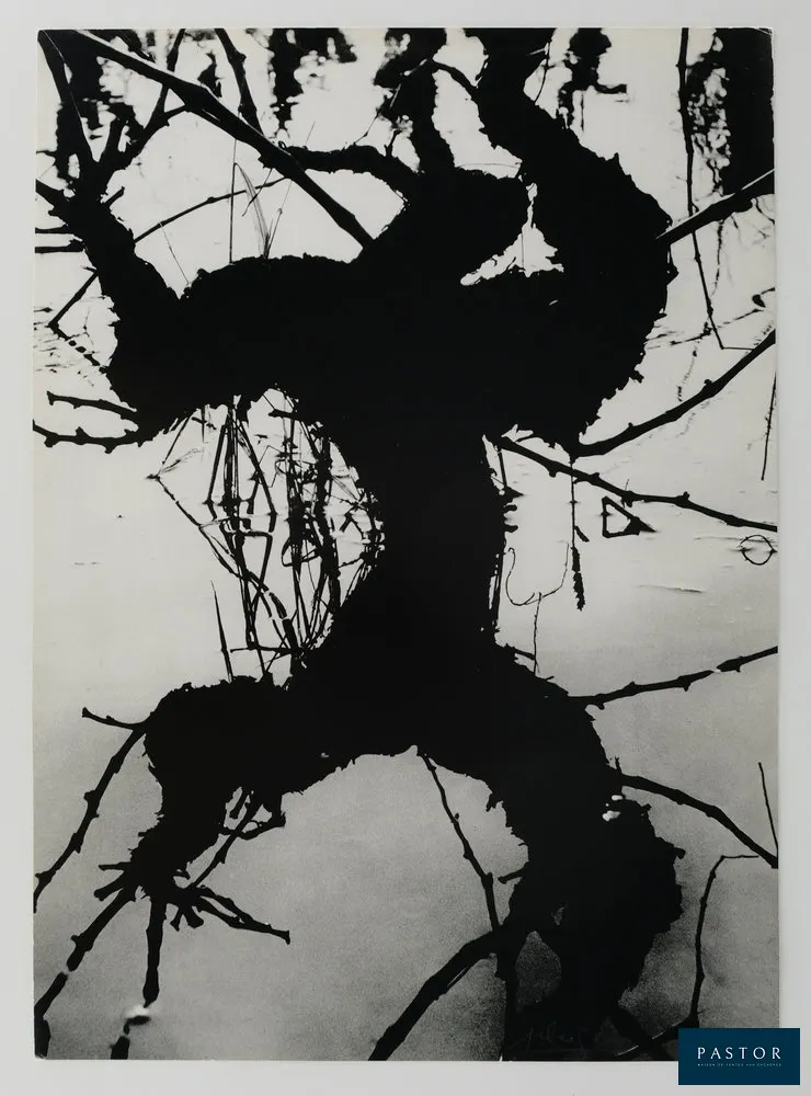 Lucien CLERGUE (1934-2014)
Carmague secrète, 1960

Héliogravure originale d'époque (rotogravure)
Signée au crayon
Sur papier mat 24 x 34 cm (c. 10 x 13 inches)

Très bon état, petits défauts en bord de feuillet


Expédition obligatoire, jusqu'à 5 Lithographies dans votre colis pour 14,76€ TTC en France Métropolitaine, et 29,64€ TTC pour l'Europe