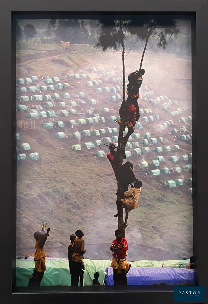 José NICOLAS (1956)
Camp de Cyangugu, Rwanda, 1994
Tirage Fine art

  
  Signé au dos et numéroté 6/12
  Dimensions : 45 x 30 cm
  Cadre noir rehaussé, verre musée.
  Un certificat d'authenticité sera remis à l'acquéreur


Expédition obligatoire, jusqu'à 5 Lithographies dans votre colis pour 14,76€ TTC en France Métropolitaine, et 29,64€ TTC pour l'Europe