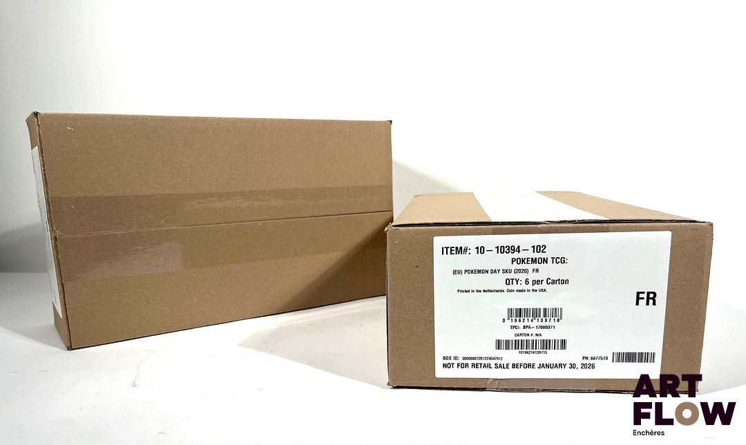 POKEMON Ensemble comprenant : 2 case Pokémon de 6 coffrets Pikachu Pokemon day Case sortie d'usine complète.