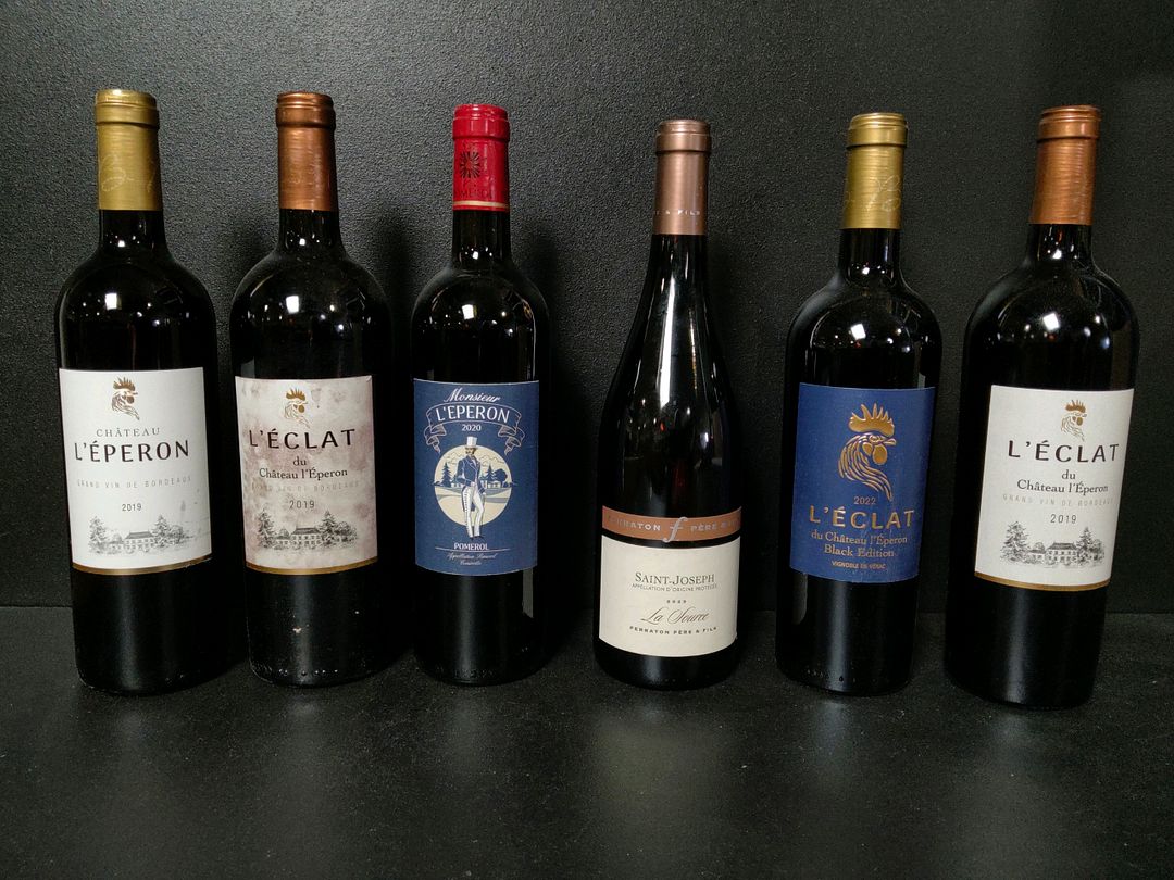 Lot de 6 bouteilles de vin rouge dont : L&rsquo;éclat du Château l&rsquo;Éperon 2019, Monsieur L&rsquo;Éperon 2020, La Source Ferraton Père & Fils 2023…