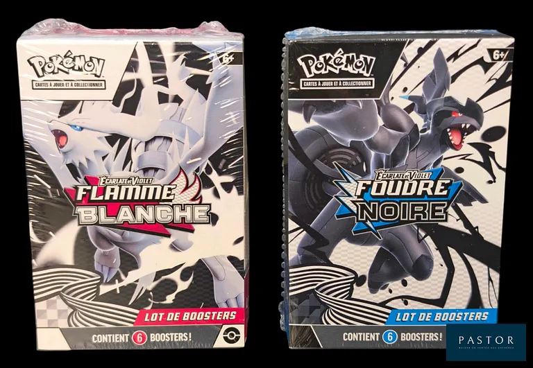 Ensemble de 2 Lots de boosters Pokémon scellés : Bundles (6 boosters).
Série du bloc Écarlate&Violet : Flamme Blanche (EV10.5).
En français.