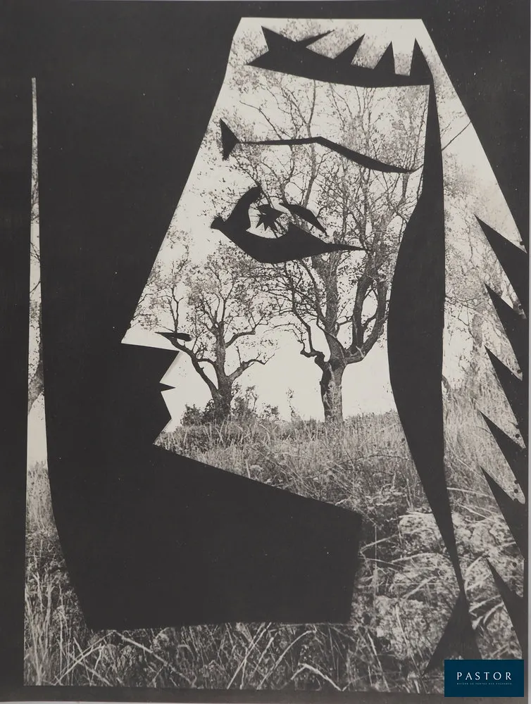 Pablo PICASSO (1881-1973) 
Jacqueline aux arbres, 1962

Phototypie et pochoir originale (Atelier Jacomet) 
Non signée
Limitée à 1000 exemplaires non numérotés
Sur papier épais 40 x 30 cm

REFERENCE : Catalogue raisonné Cramer #115

INFORMATION : Reprenant une technique utilisée dès 1943, Picasso avait fait des découpages de têtes et de silhouettes. En 1962 avec son ami le photographe André Villers, il monta les découpages sur des photographies différentes, 30 en tout, variant ainsi leur effet et leur valeur. L'ensemble des phototypies a été publié par Berggruen dans le portfolio "Diurnes" tiré à 1000 exemplaires.

Excellent état


Expédition obligatoire, jusqu'à 5 Lithographies dans votre colis pour 14,76€ TTC en France Métropolitaine, et 29,64€ TTC pour l'Europe