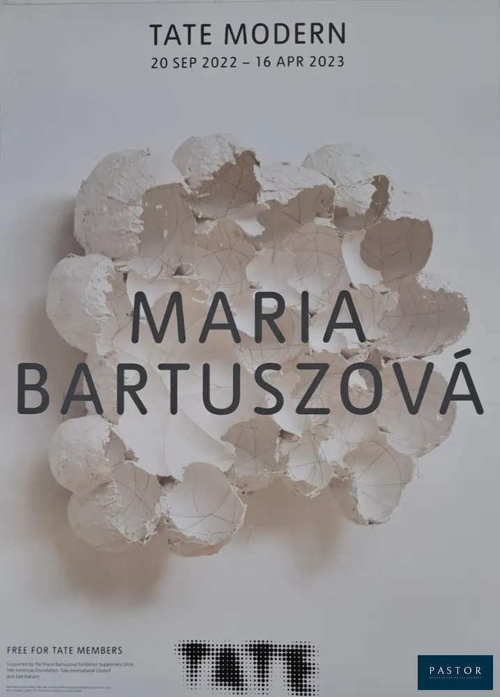 Maria Bartuszova (1936-1996)
Exposition

Affiche
Dimensions : 60 x 42 cm

Très bon état

Information : Affiche de l'exposition de Maria Bartuszova (sculpteur) à laTate Gallery de septembre 2022 à avril 2023


Expédition obligatoire, jusqu'à 5 Lithographies dans votre colis pour 14,76€ TTC en France Métropolitaine, et 29,64€ TTC pour l'Europe