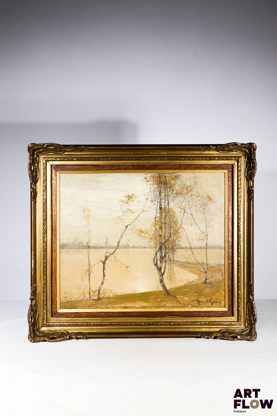 David GIRIN (1848-1917) Bord de l'étang Huile sur toile Signée en bas à droite 36 x 43 cm (à vue)