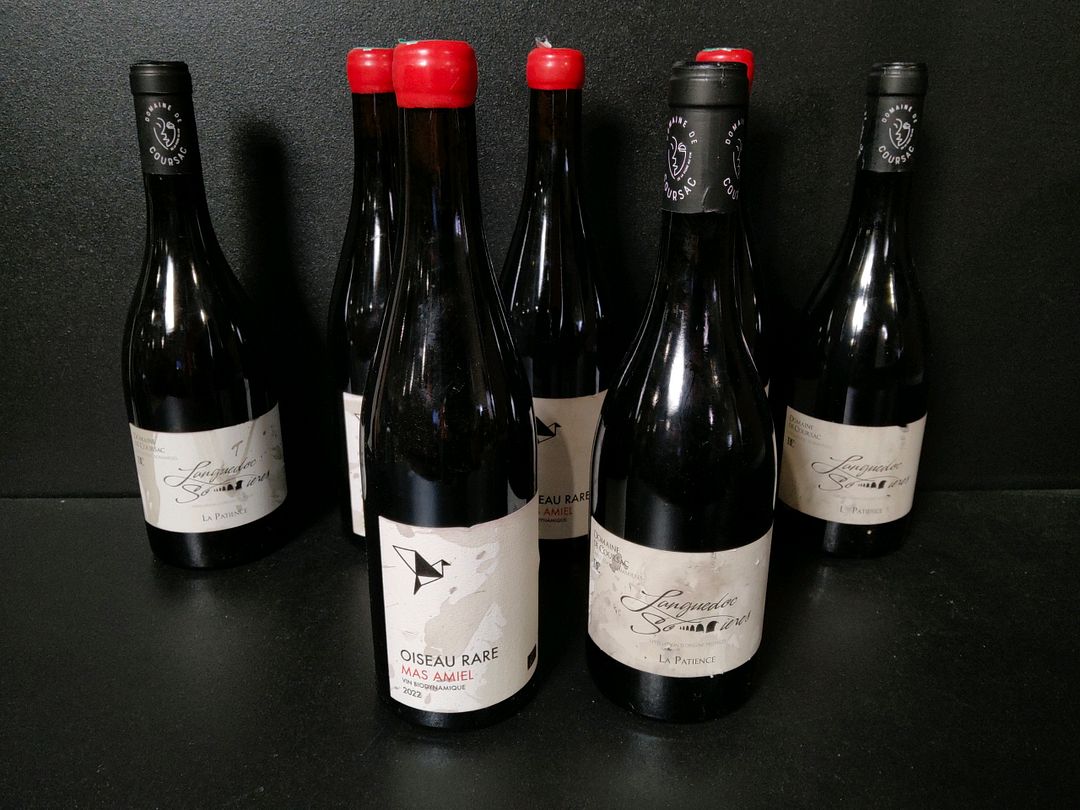 Lot de 7 bouteilles de vin rouge : 4 Mas Amiel Oiseau Rare 2022 et 3 Domaine de Coursac Sommieres La Patience 2022