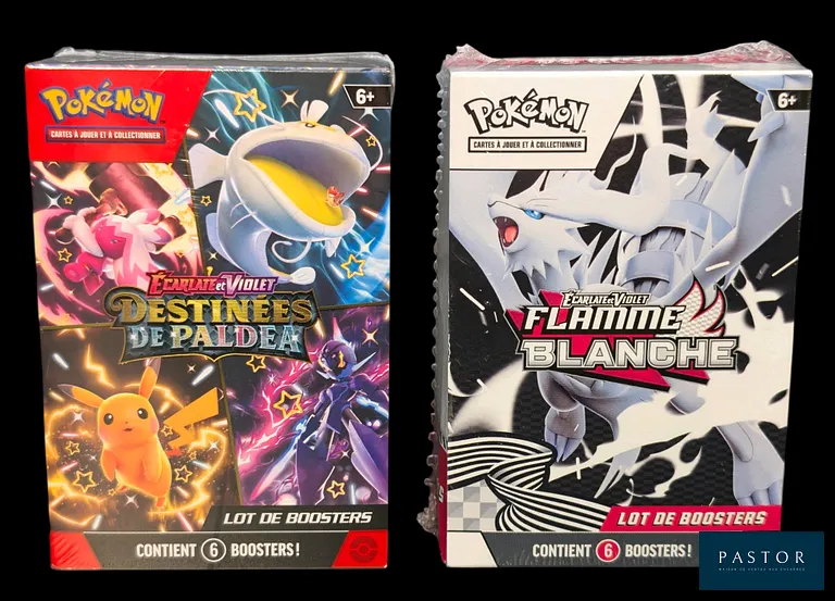Réunion de 2 Lots de boosters Pokémon scellés : Bundles (6 boosters).
- 1 Bundle de la série Destinées de Paldea (EV4.5).
- 1 Bundle de la série Flamme Blanche (EV10.5).
En français.