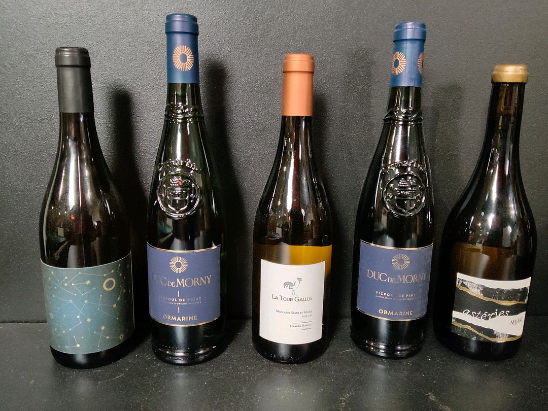 Lot de 10 bouteilles de vin blanc dont : Damien Rineau La Tour Gallus Muscadet 2023, Duc de Morny Picpoul de Pinet 2024, Domaine de Pierre Blanche Saint-Joseph Les 85 Rangs 2023…