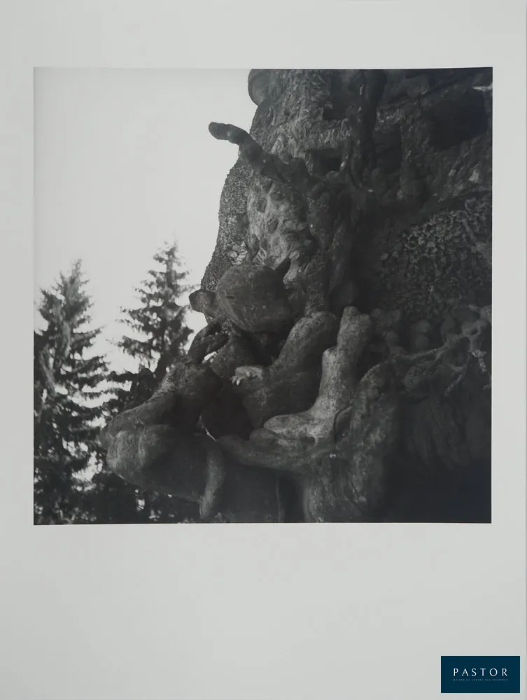Dora MAAR (1907-1997)
Le Palais sculpté

Tirage argentique original réalisé à partir du négatif original de 1935
Authentifié par le tampon de la Succession au verso (voir photo)
Edition limitée à 5 exemplaires (ici le rare et recherché numéro 1)
Sur papier baryté 40 x 30 cm
Tirage réalisé sous contrôle des ayants droit

PROVENANCE : Vente du fonds photographique de Dora Maar, Artcurial 2022

INFORMATION : Cette photographie présente le Palais Idéal du Facteur Cheval, une œuvre architecturale unique construite par Ferdinand Cheval, facteur de métier, qui a passé 33 ans à la construire. Situé à Hauterives, en France, ce palais mêle des styles architecturaux variées et des éléments fantastiques. Véritable chef-d'œuvre de l'imaginaire, il incarne la vision personnelle et créative de son auteur, témoignant de sa détermination et de son inventivité.

Excellent état


Expédition obligatoire, jusqu'à 5 Lithographies dans votre colis pour 14,76€ TTC en France Métropolitaine, et 29,64€ TTC pour l'Europe