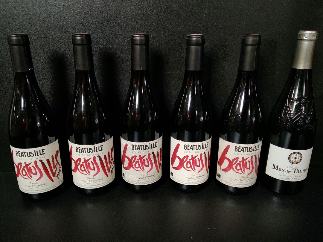 Lot de 9 bouteilles de vin rouge dont : Famille Isabel Ferrando Clos Beatus Ille 2023, Cinquenoci Primitivo Tagaro 2023, Château Mas des Tannes Réserve 2022…