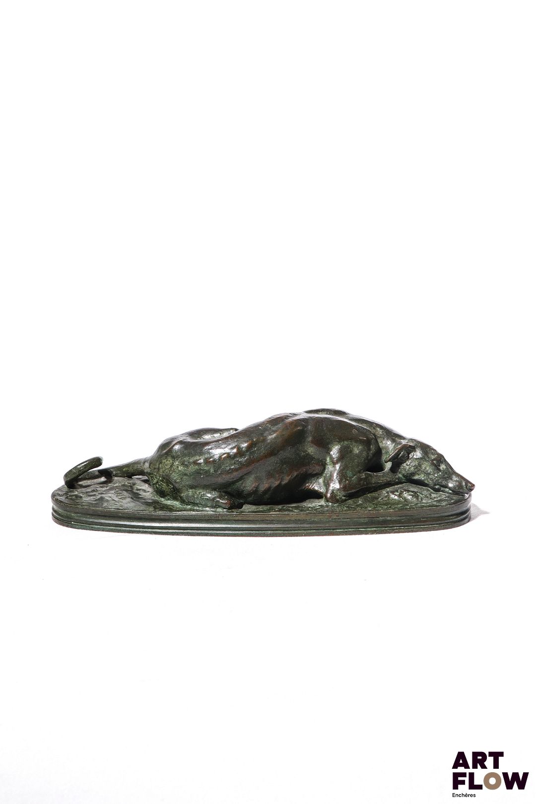 Antoine Louis BARYE (1796-1875) Lévrier couché Bronze à patine brune verte Signé sur la terrasse Dim : Haut. 7,5 cm x Long. 26 cm x Larg. 9 cm