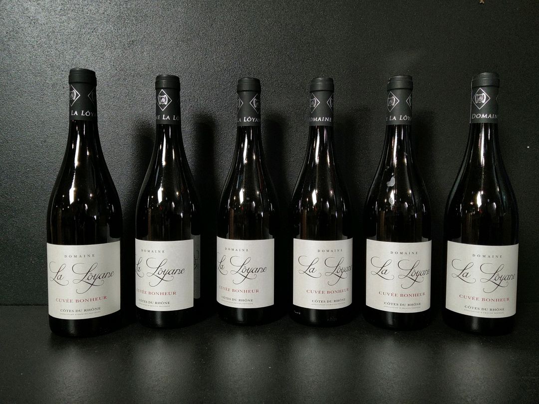 Lot de 11 bouteilles de vin rouge dont : Domaine La Lôyane Cuvée Bonheur 2024, Domaine La Jalousie Les Coteaux 2021, Philippe Chesnelong Les Brunes 2022…