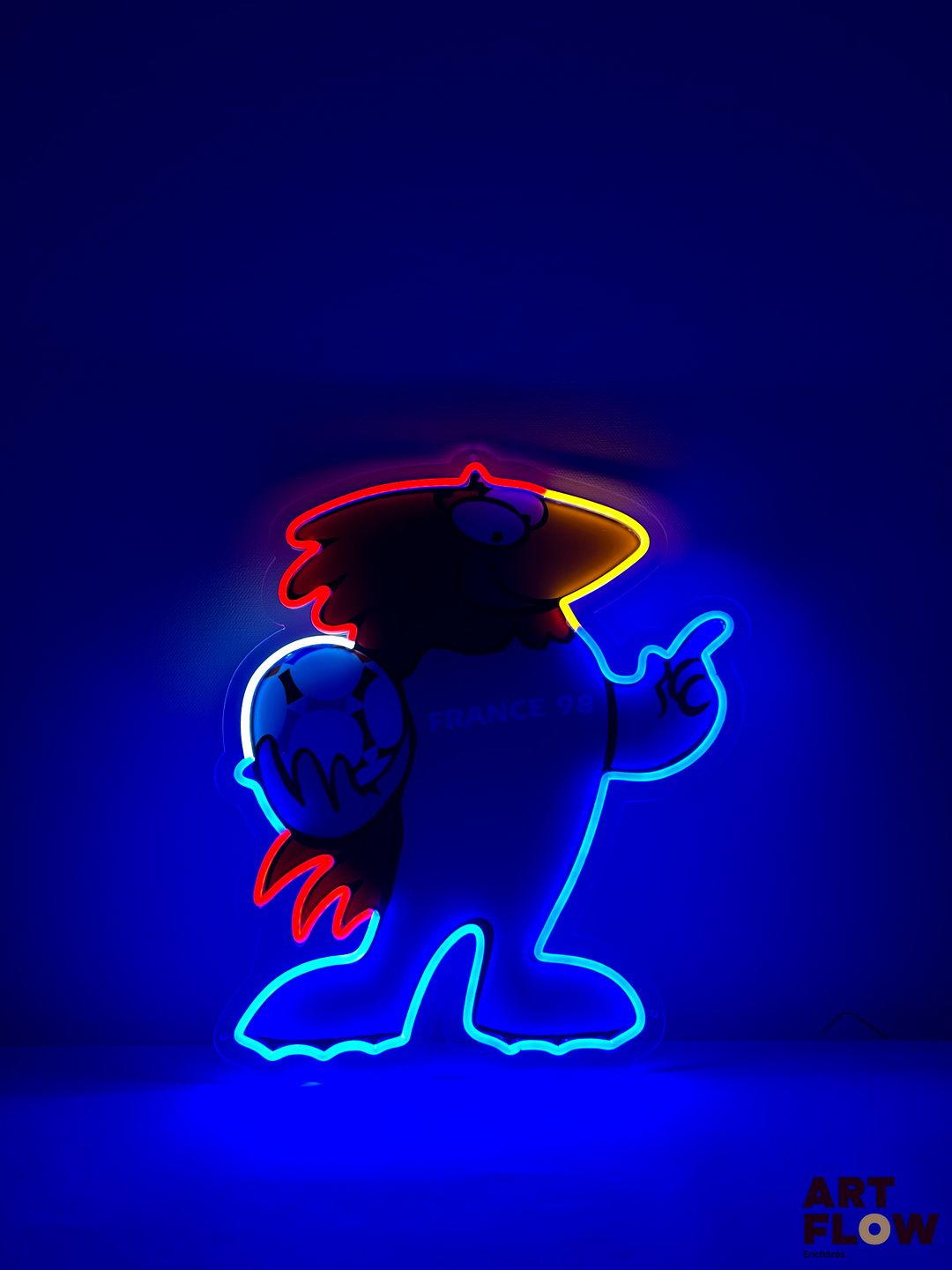 Enseigne lumineuse sur plexiglas Footix Dimensions : 54 x 44 cm Fonctionnelle