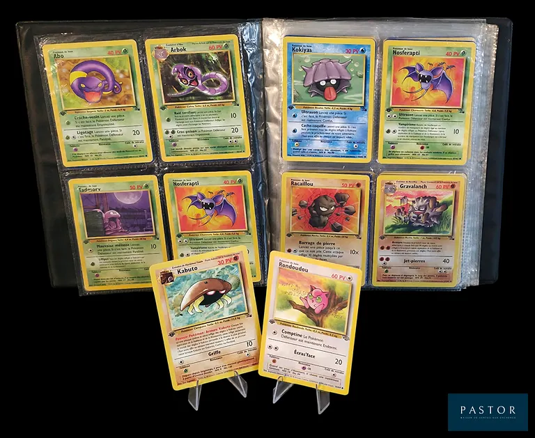Ensemble de 29 cartes Pokémon - Communes et Peu Communes.
Séries du bloc Wizards : Fossile Édition 1 et Jungle Édition 1.
Cartes en état global Bon/Très Bon, en français.
Collection livrée avec le classeur Wizards vintage officiel édité à l'époque du Set de Base.
