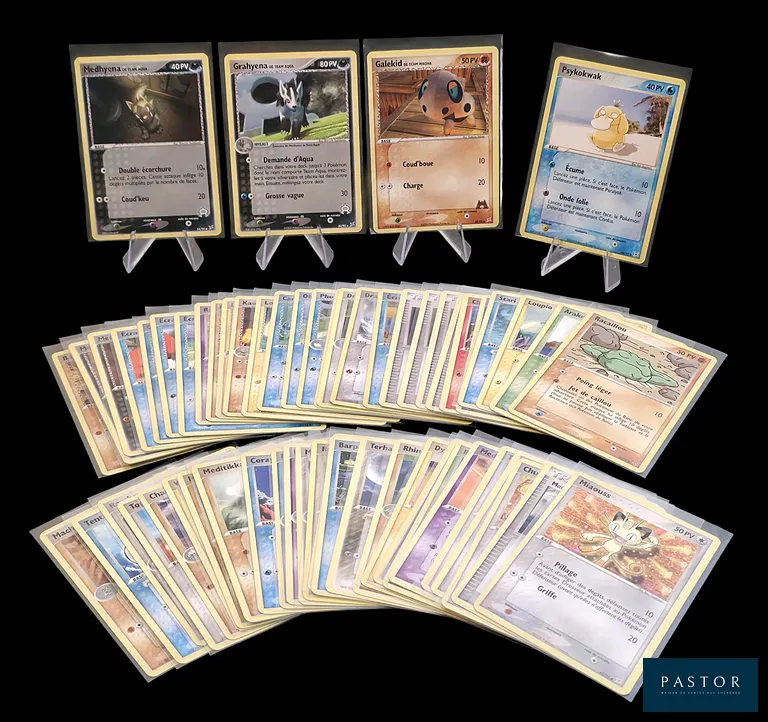 Ensemble de 59 cartes Pokémon - Communes et Peu Communes.
Séries diverses du bloc Ex : Ex Rubis&Saphir, Ex Dragon, Ex TATM, Ex Légendes Oubliées et EX RFVF. 
Cartes en état global Très bon/Excellent, en français.