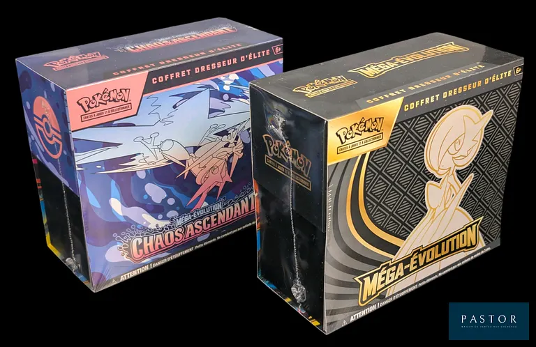 Réunion de 2 coffrets Pokémon scellés : Elite Trainer Box (ETB).
Séries du bloc Méga-Évolution : ME01 et Chaos Ascendant (ME04).
En français.