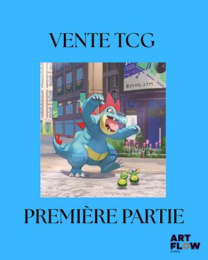VENTE TCG 2 PREMIERE PARTIE
