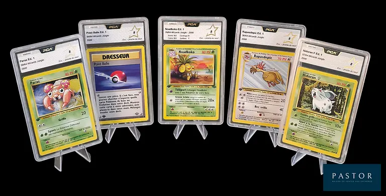 Réunion de 5 cartes Pokémon gradées - PCA 8.
Série du bloc Wizards : Jungle Édition 1.
Cartes en état Excellent/Proche du neuf (PCA 8), en français.