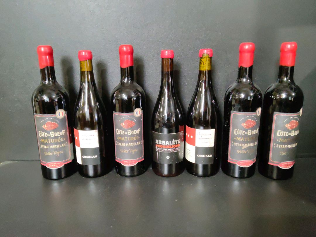 Lot de 7 bouteilles de vin rouge : 4 Côte de Boeuf Maturée 2023, 1 Domaine Jean-Baptiste Sénat Arbalète and Coquelicots et 2 Ornicar