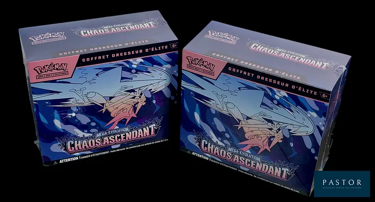 Réunion de 2 coffrets Pokémon scellés - Elite Trainer Box (ETB).
Série du bloc Méga-Évolution : Chaos Ascendant (ME04).
En français.
Des défauts sur le scellage sont présent sur les coffrets (Voir photos). - TVA Récupérable
