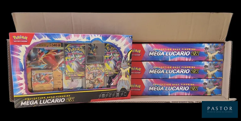 Case de 6 coffrets Pokémon : Collection avec figurine Méga-Lucario ex. 
Case ouverte mais complète.
En français. - Descellé - TVA Récupérable