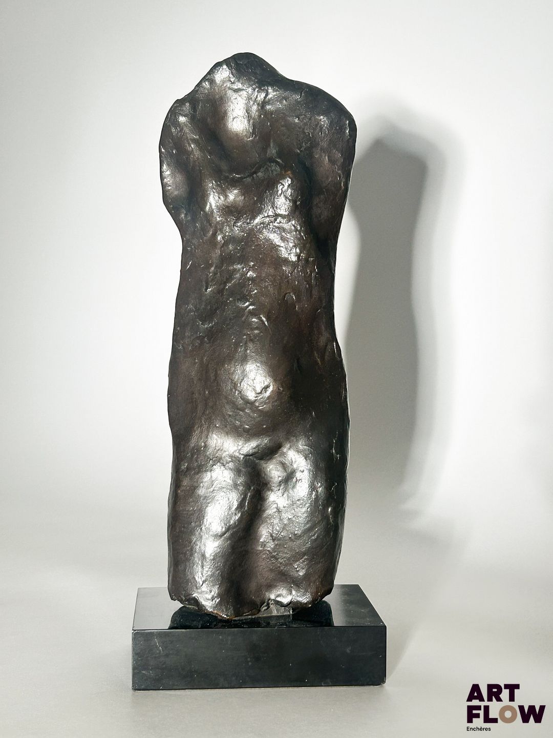 Jean CARDOT (1930-2020) Buste Sujet en bronze à patine brune Signé J.Cardot, et numéroté 4/8 H. 28 cm