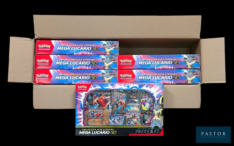 Case de 6 coffrets Pokémon : Collection avec figurine Méga-Lucario ex. 
Case ouverte mais complète.
En français. - TVA Récupérable